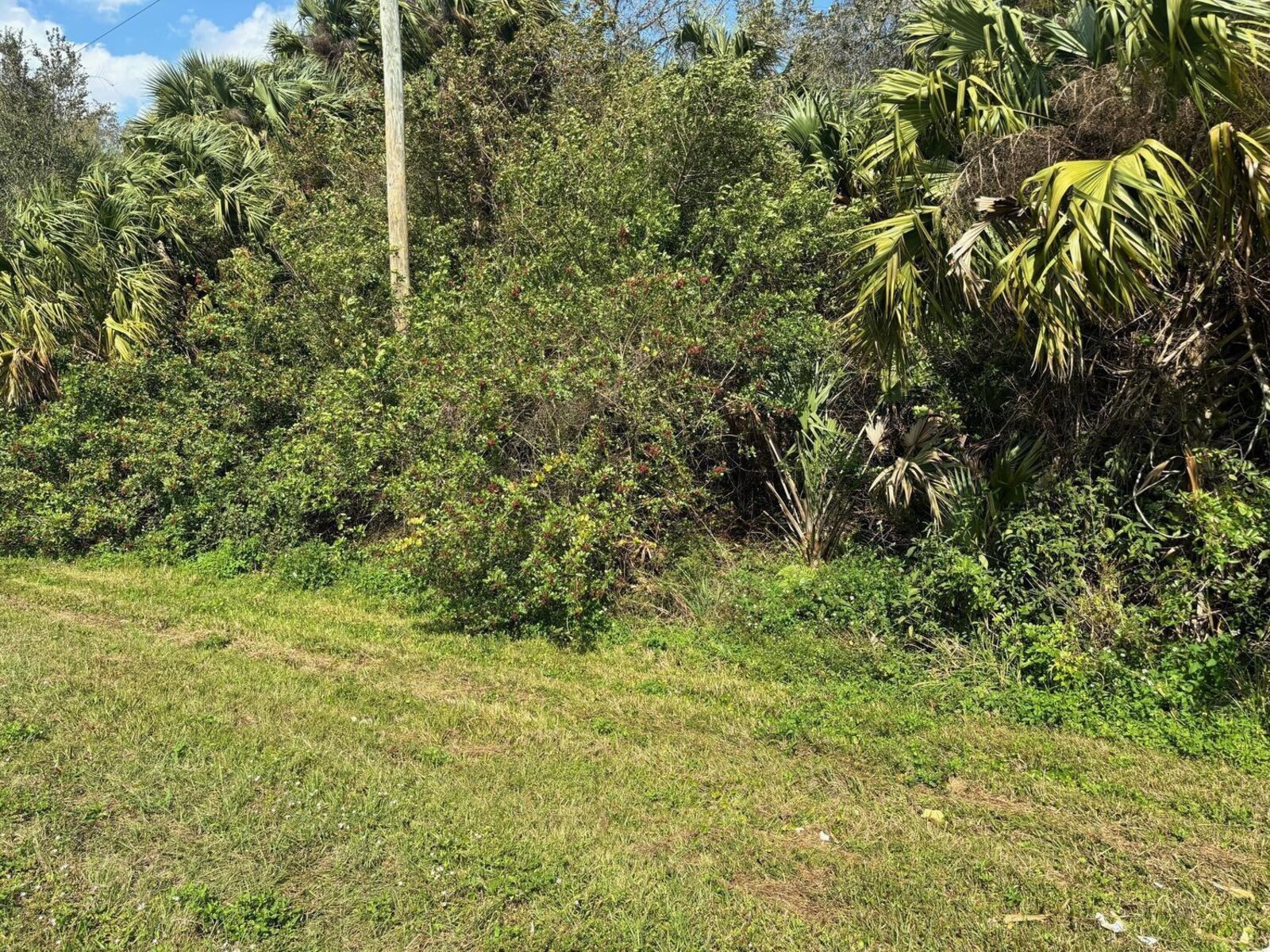 Image - 1