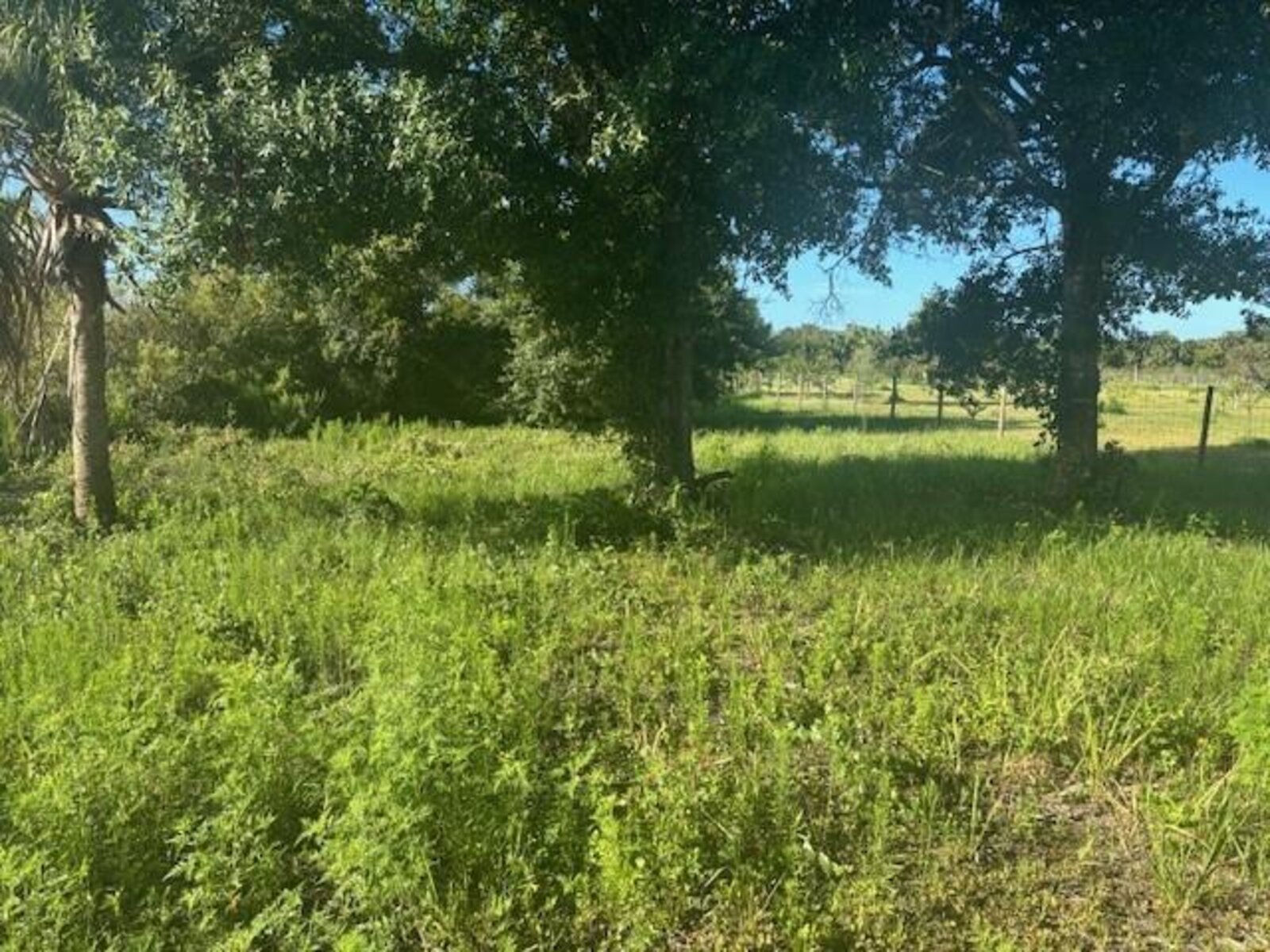 Image - 1