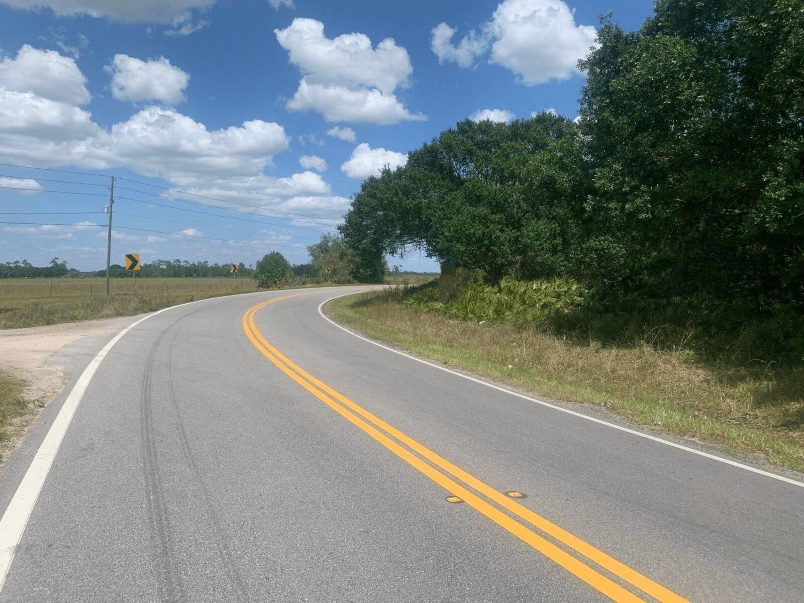 Image - 1
