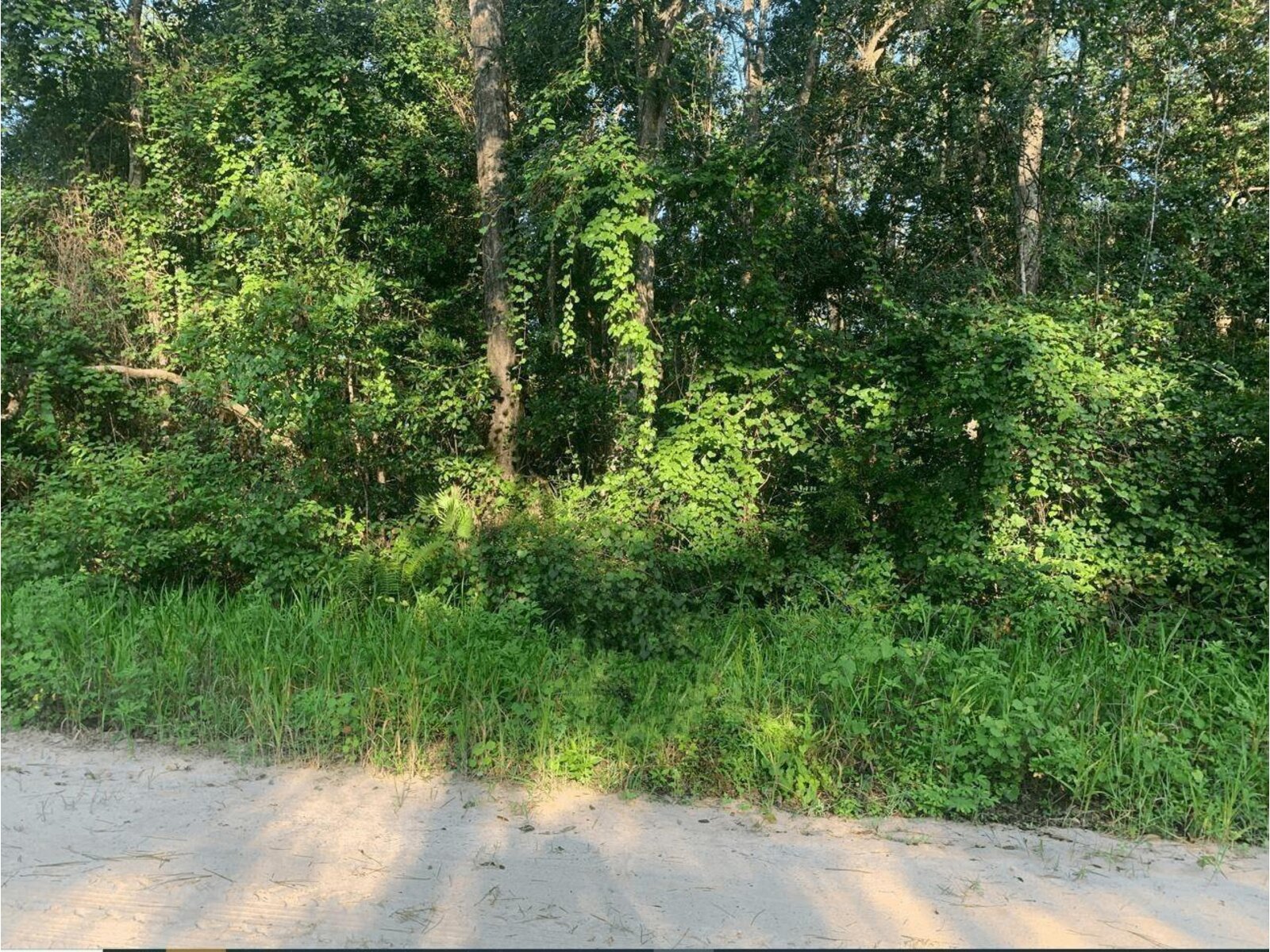 Image - 1