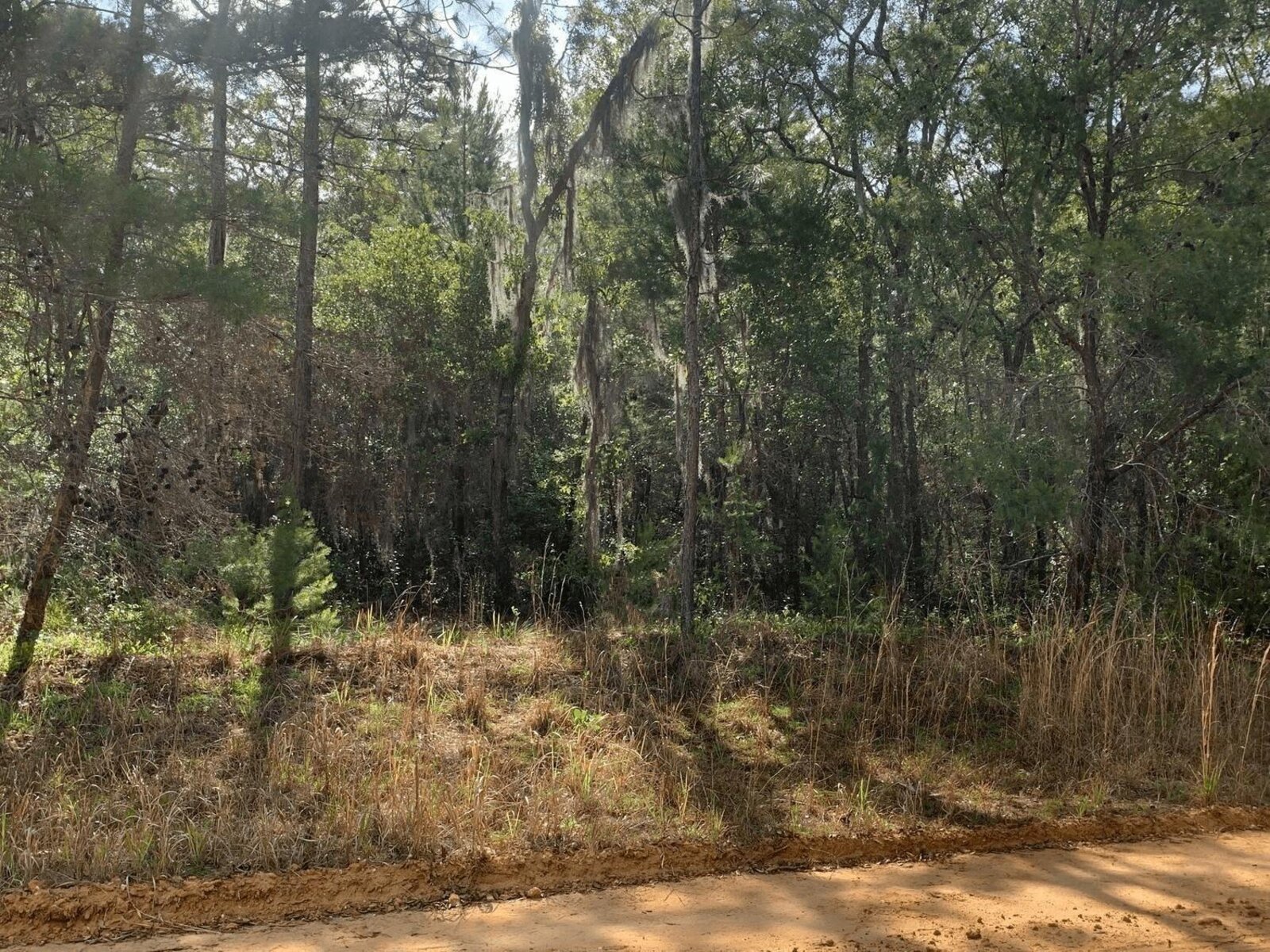 Image - 1