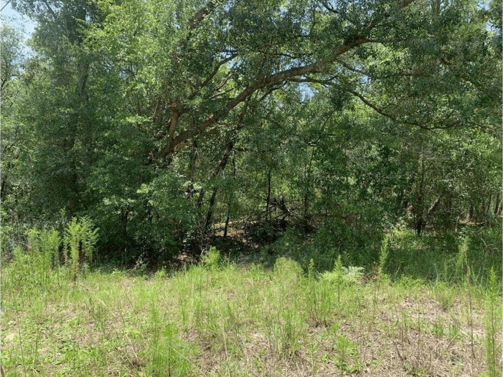 Image - 1