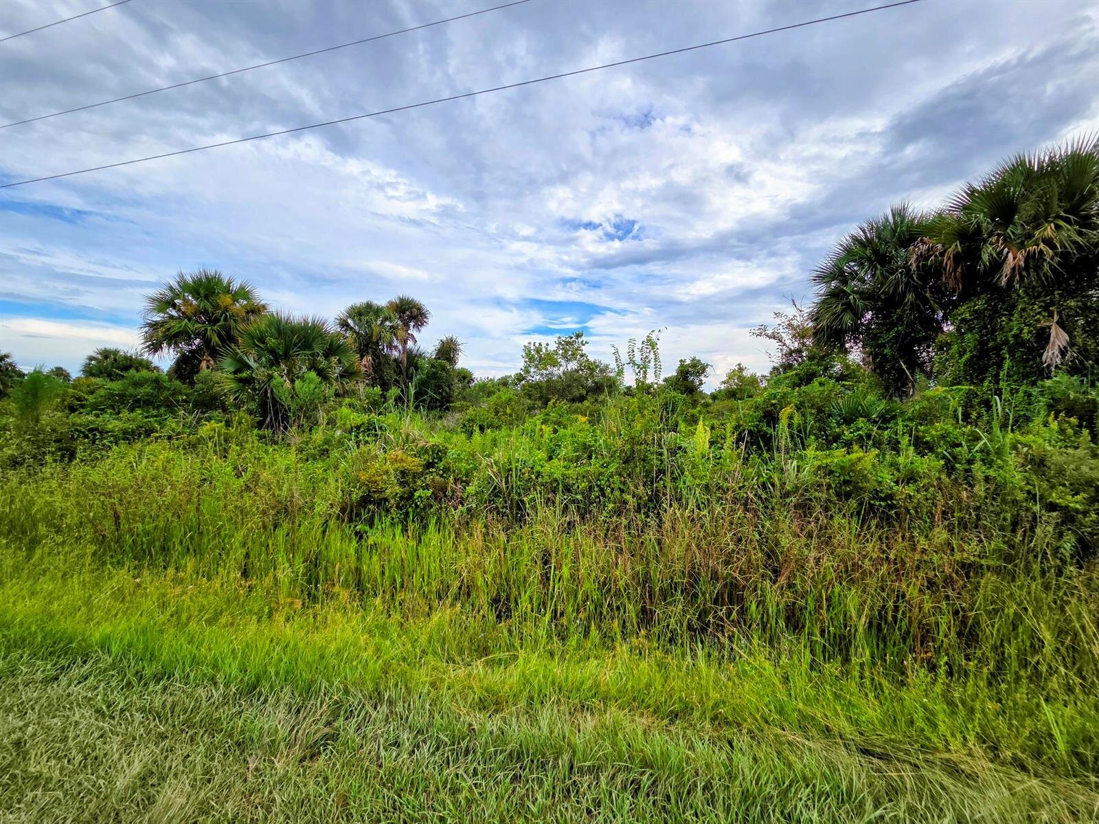 Image - 1