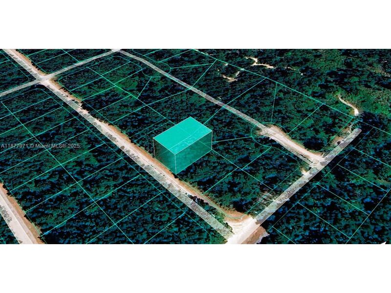 Image - 1