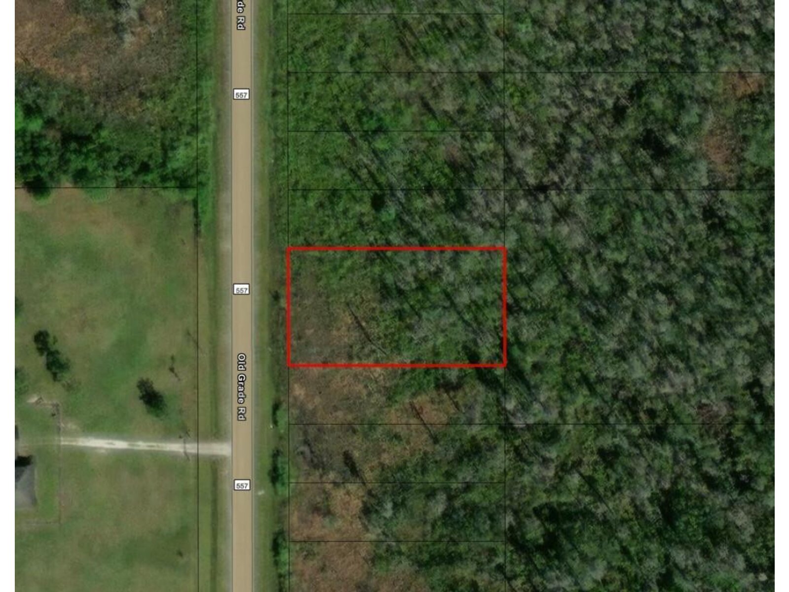 Image - 1