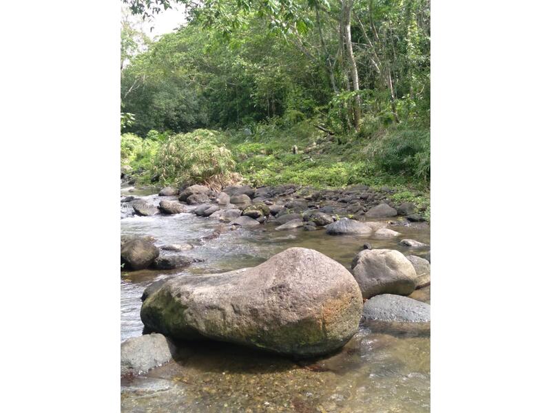 Image - 1