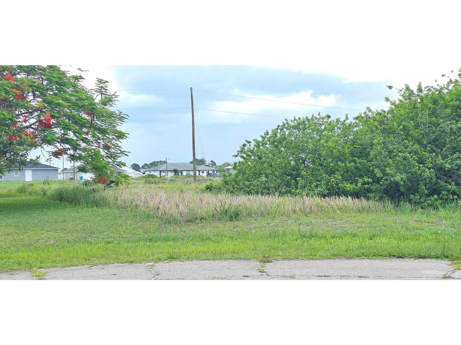 Image - 1