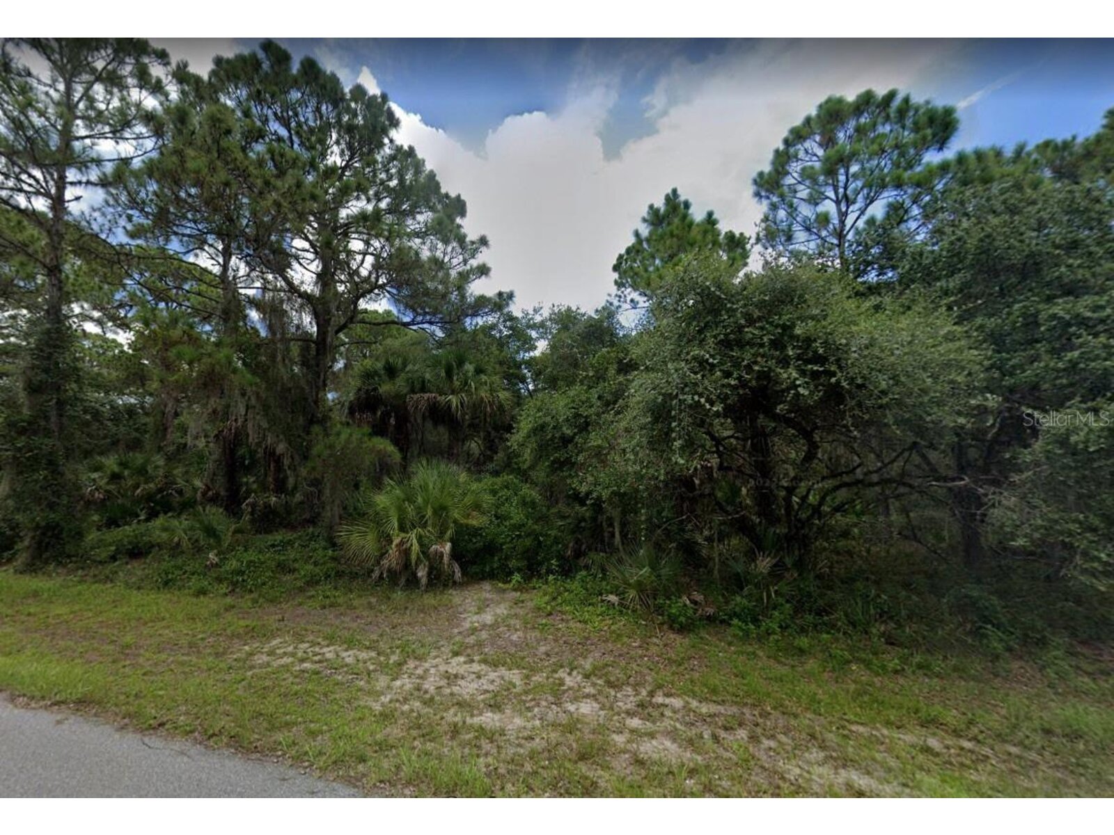 Image - 1
