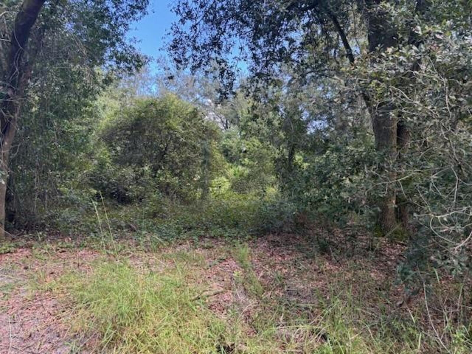 Image - 1