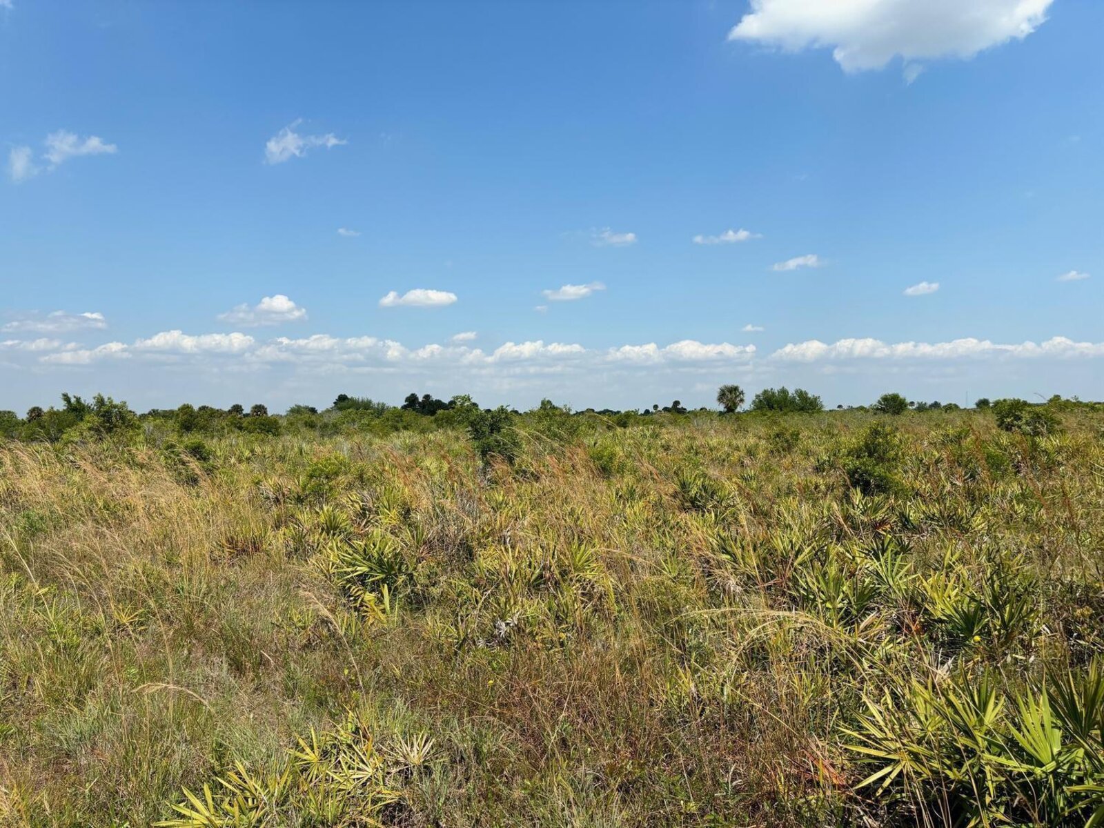 Image - 1