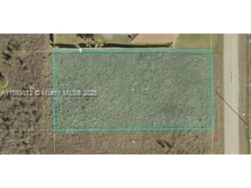 Image - 1