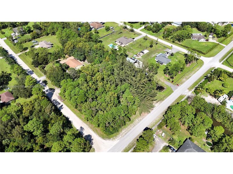 Image - 1