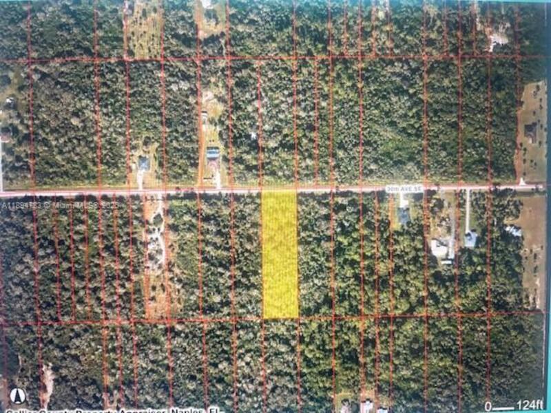 Image - 1