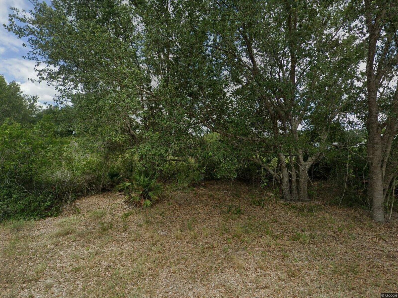 Image - 1