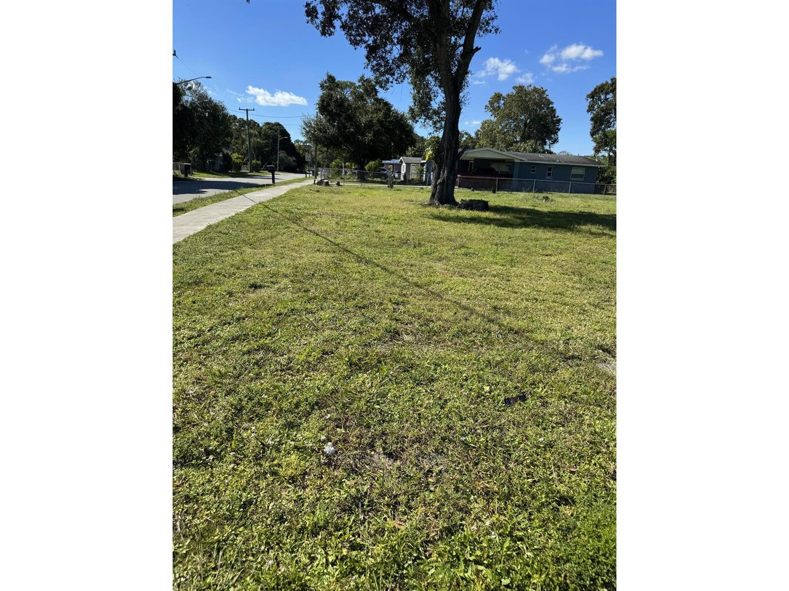Image - 1