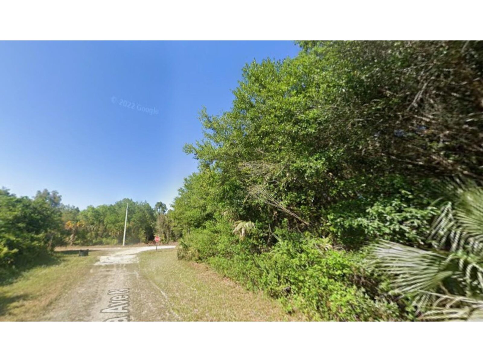 Image - 1