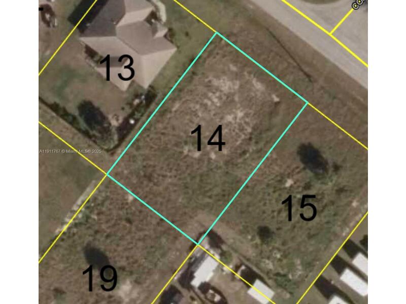 Image - 1