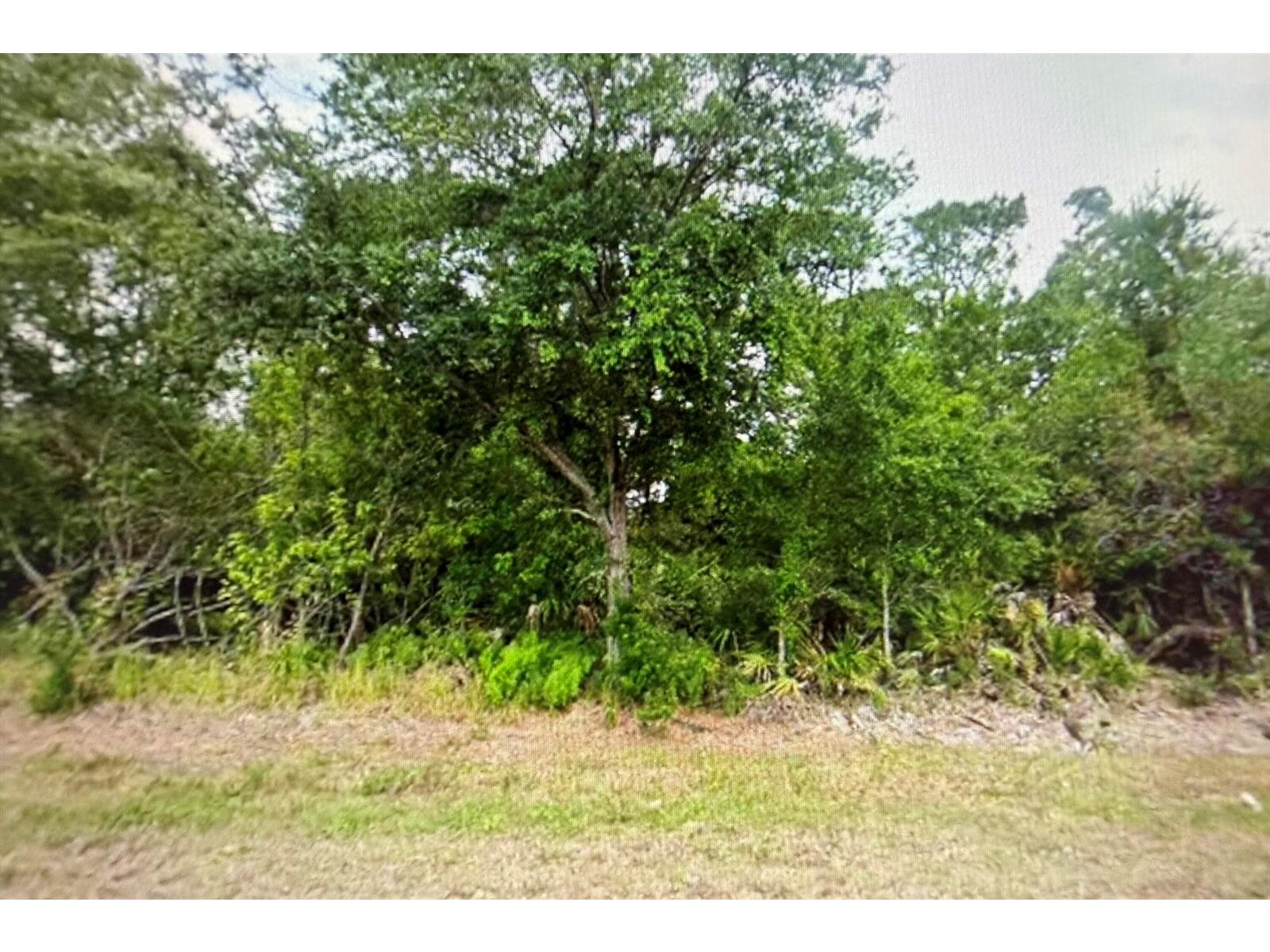 Image - 1