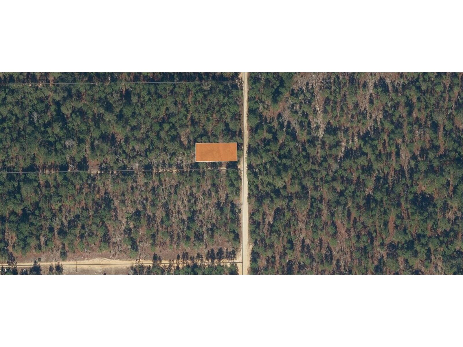 Image - 1