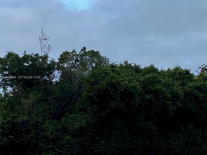 Image - 1