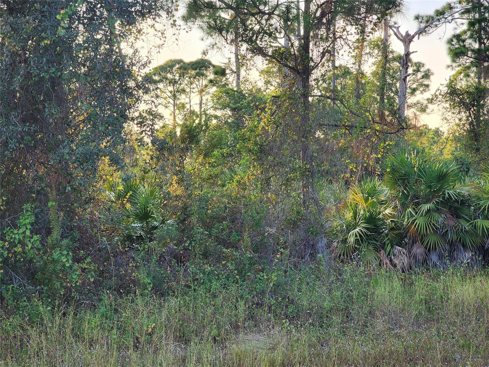 Image - 1