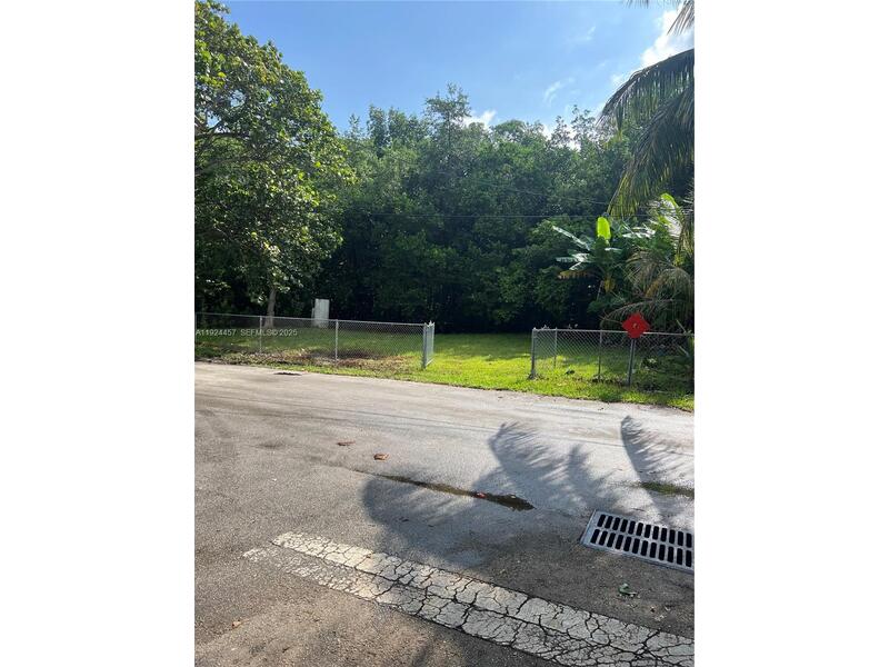 Image - 1