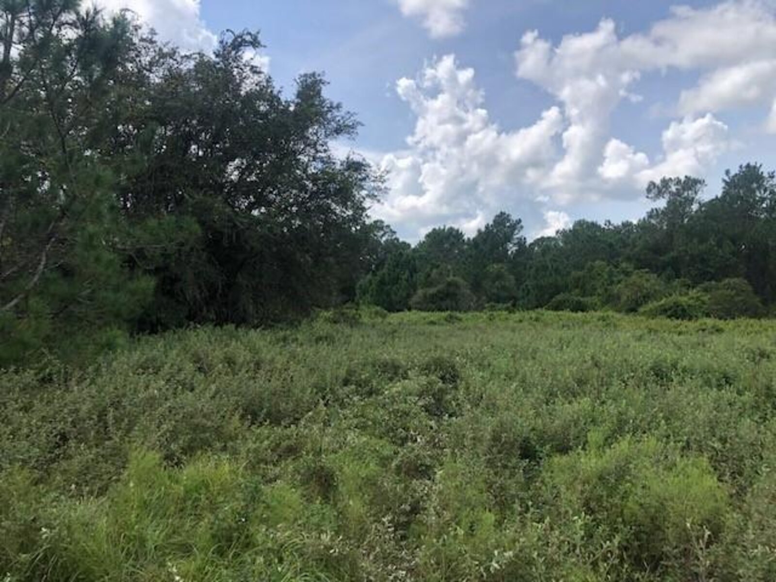 Image - 1