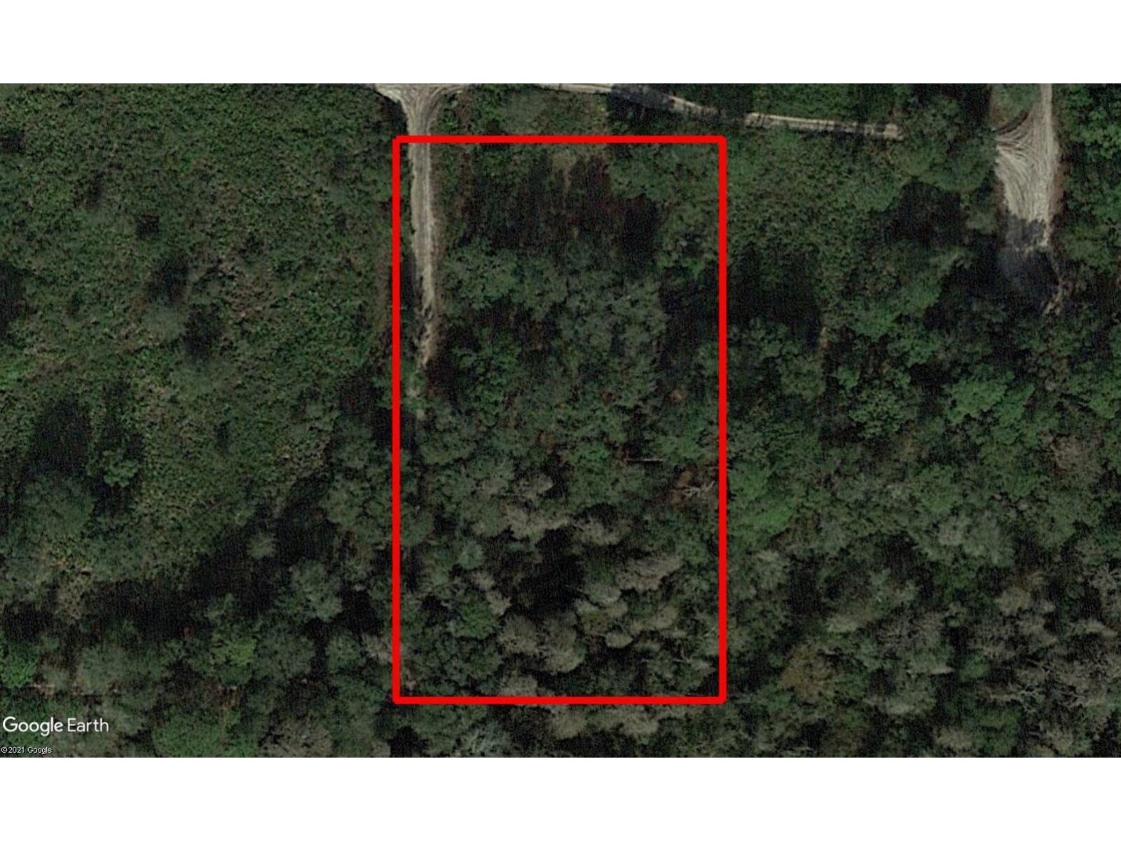 Image - 1