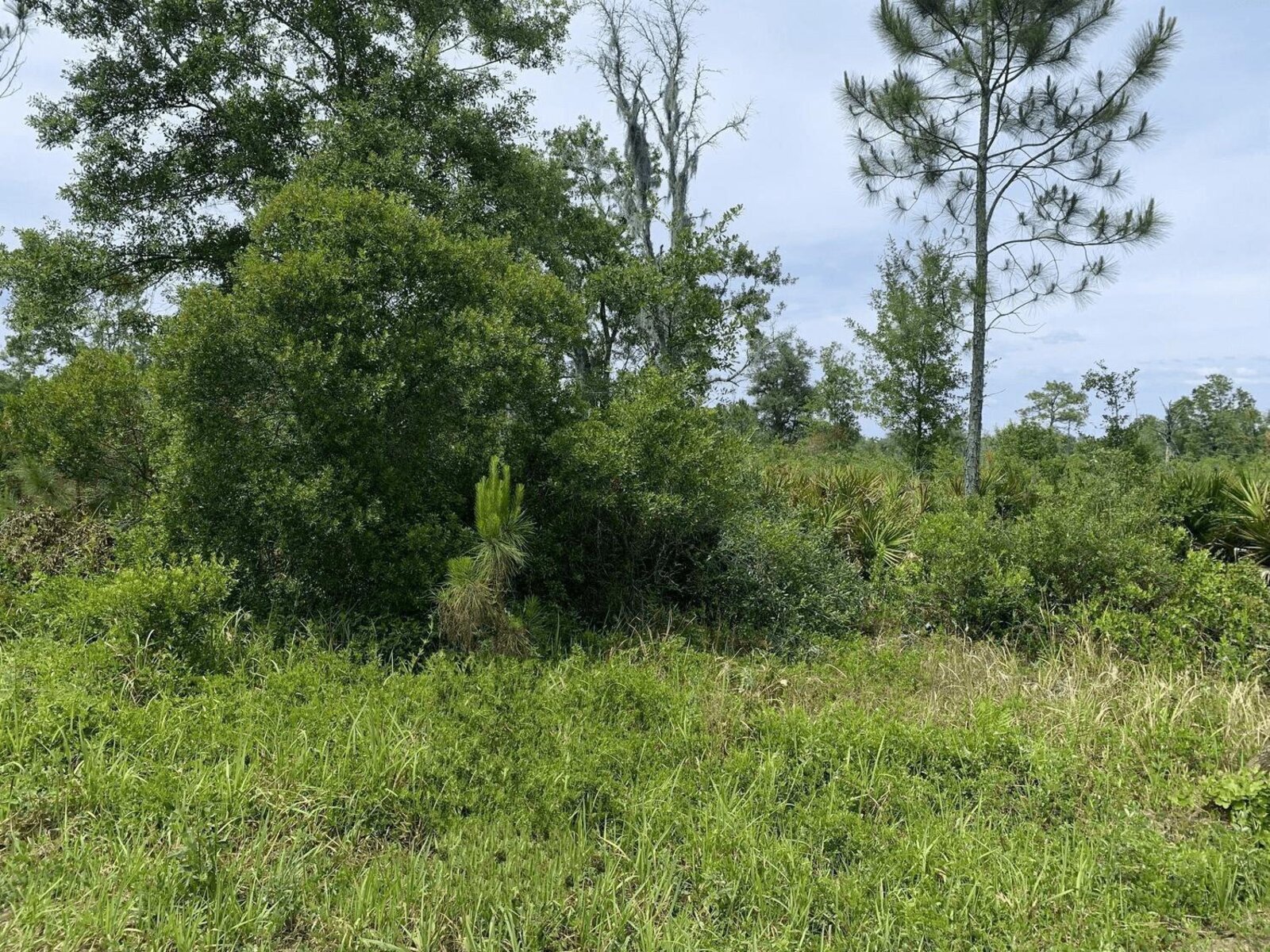 Image - 1
