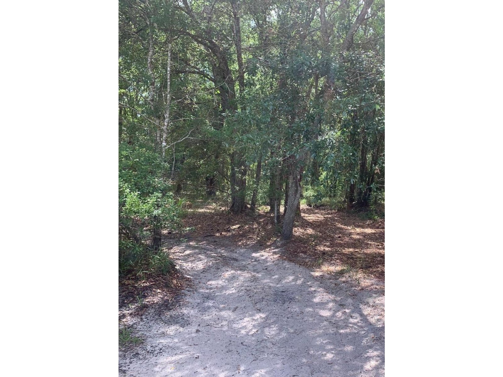 Image - 1
