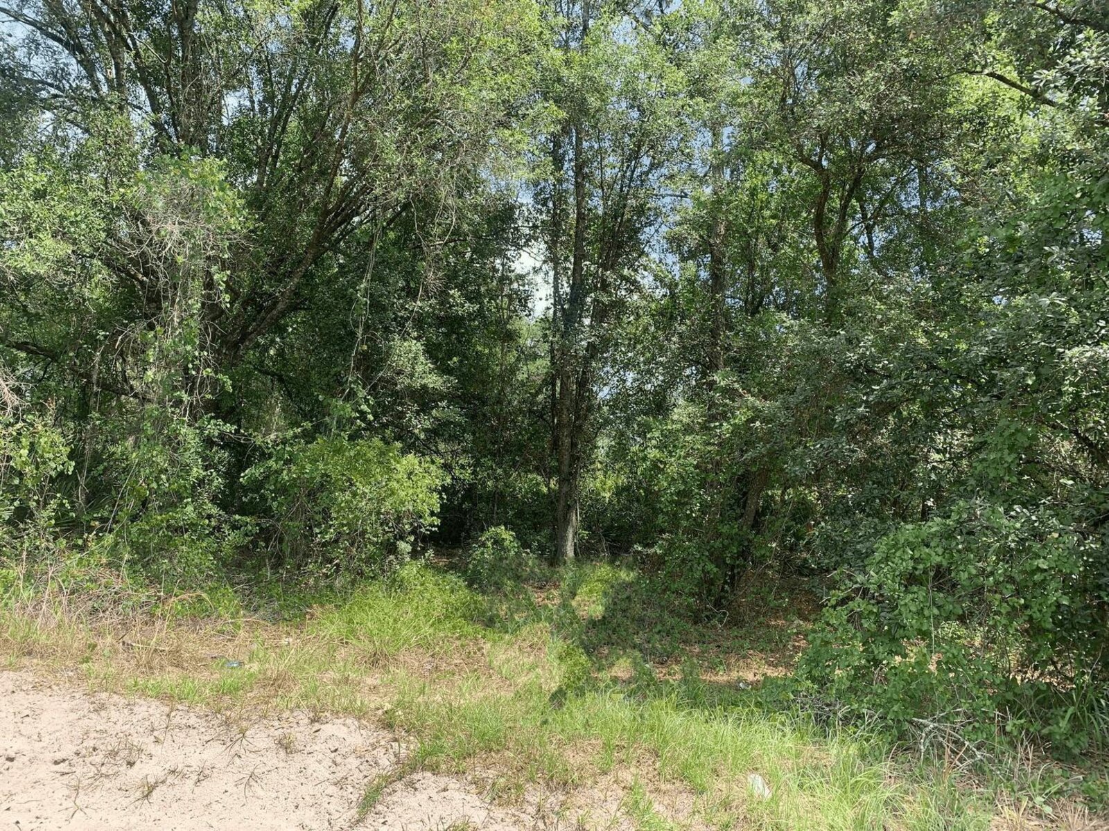 Image - 1