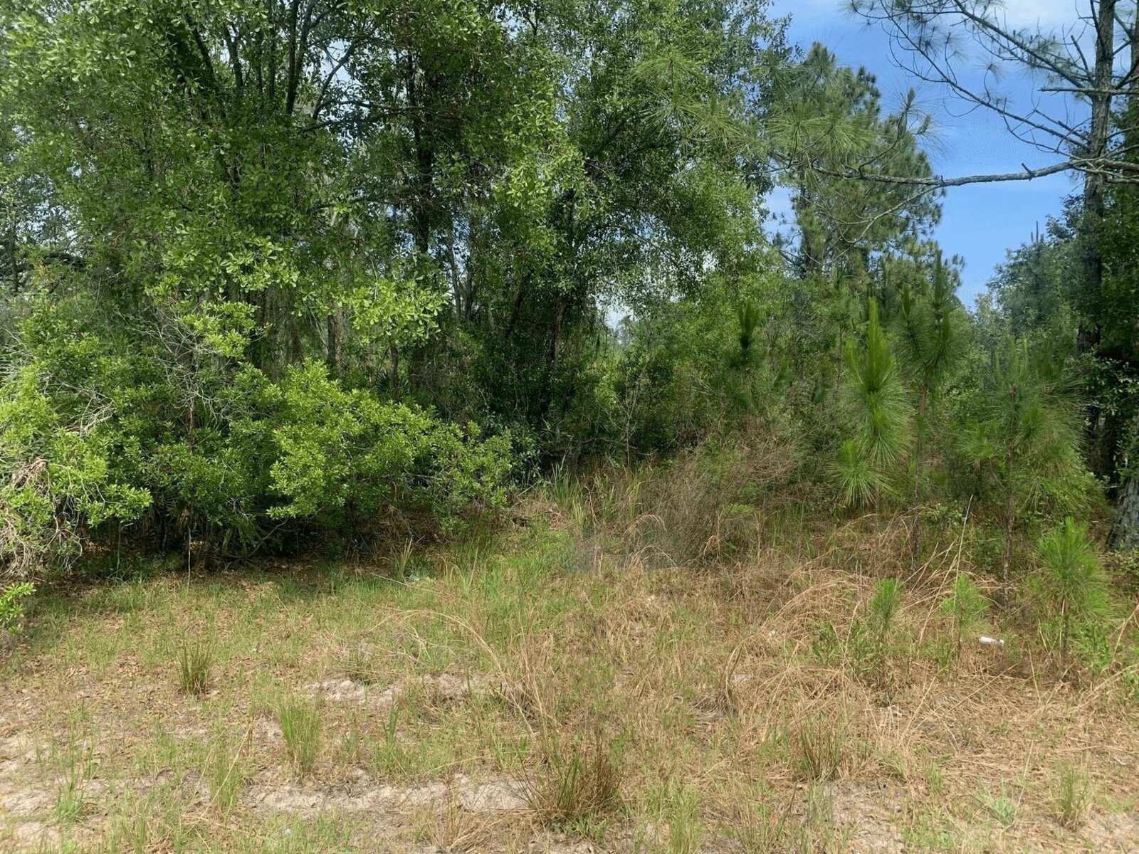 Image - 1