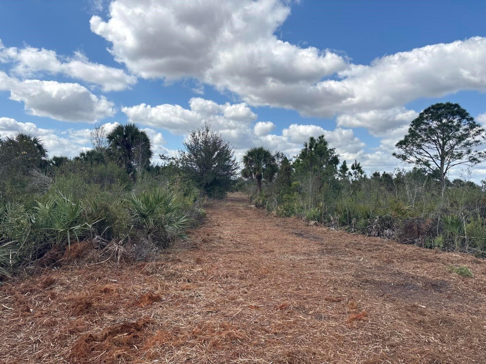 Image - 1