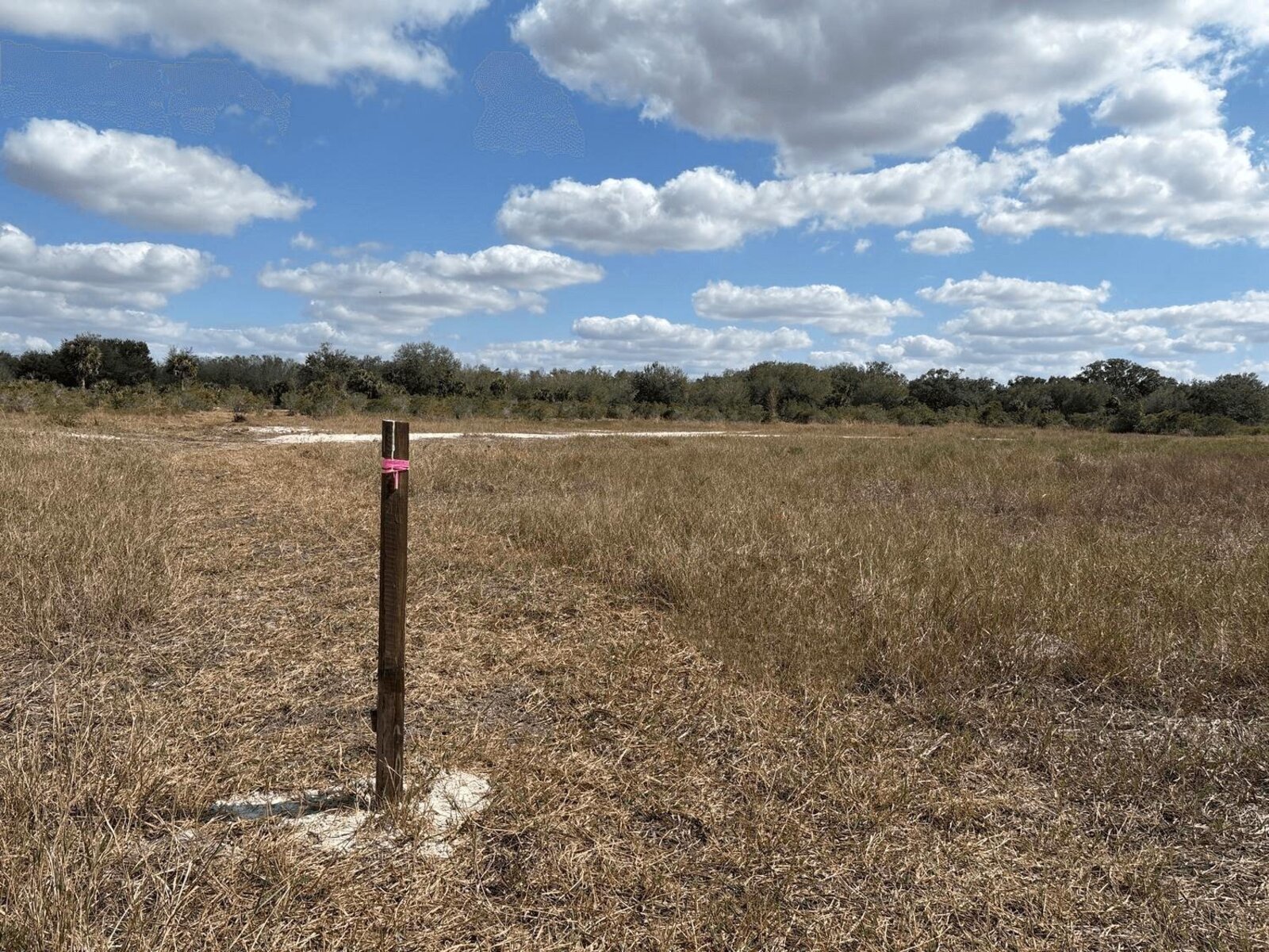 Image - 1