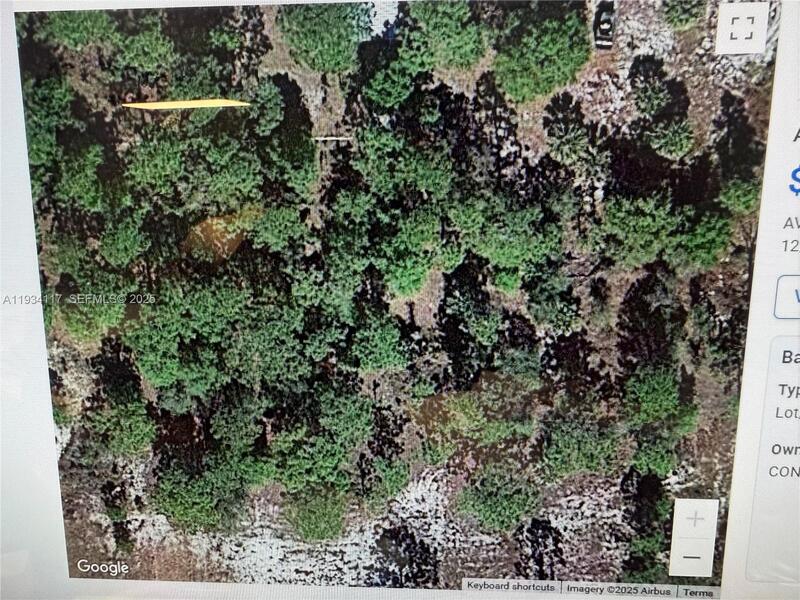 Image - 1