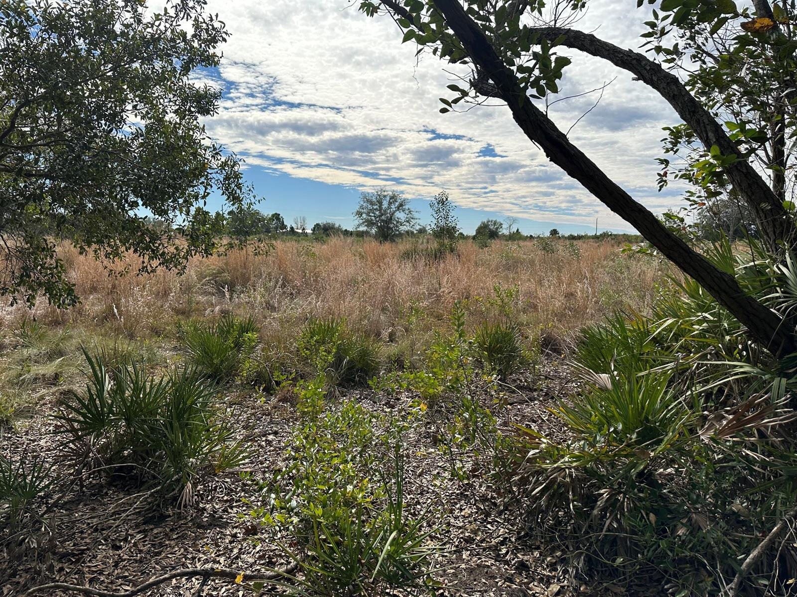 Image - 1