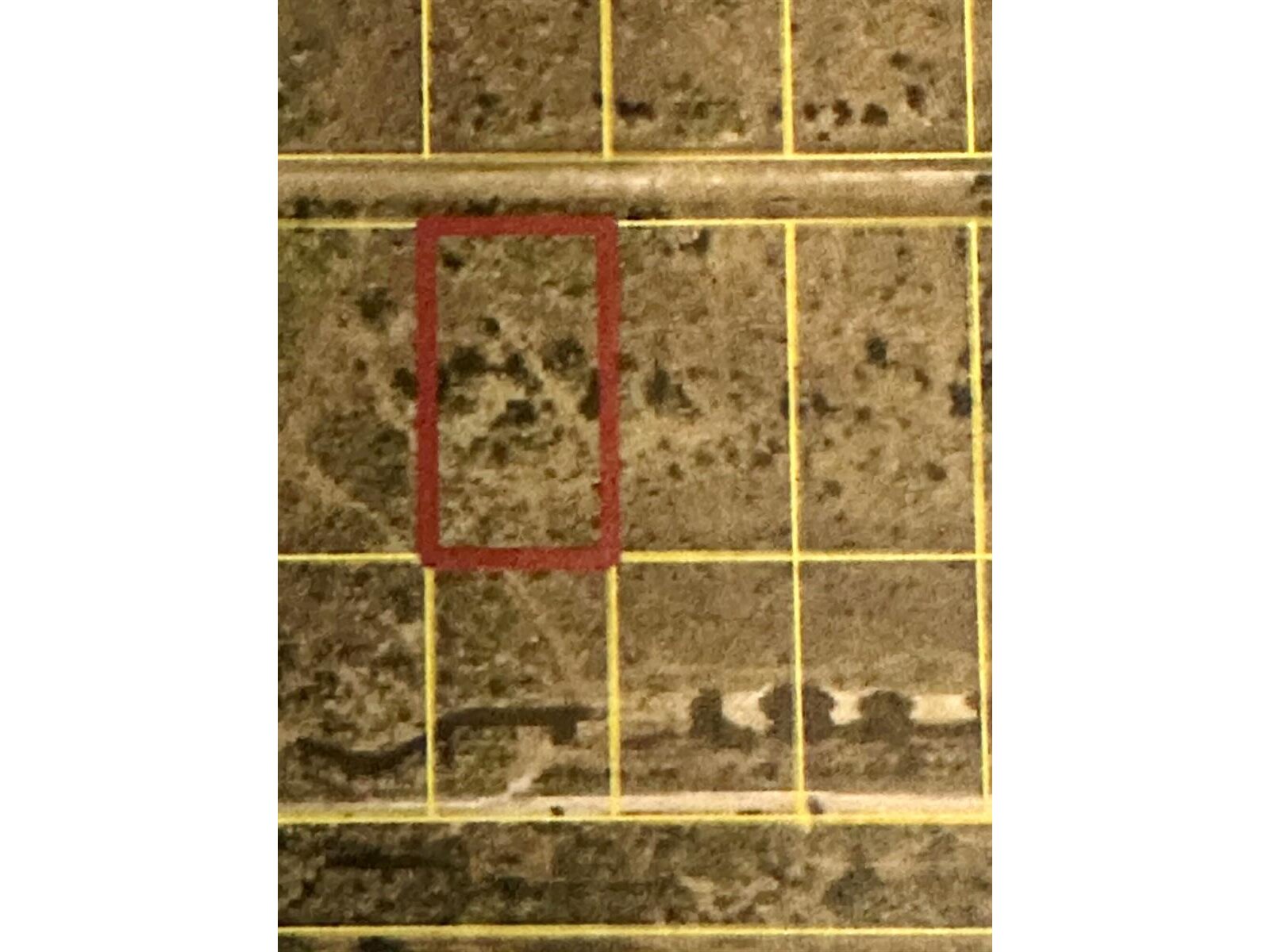 Image - 1