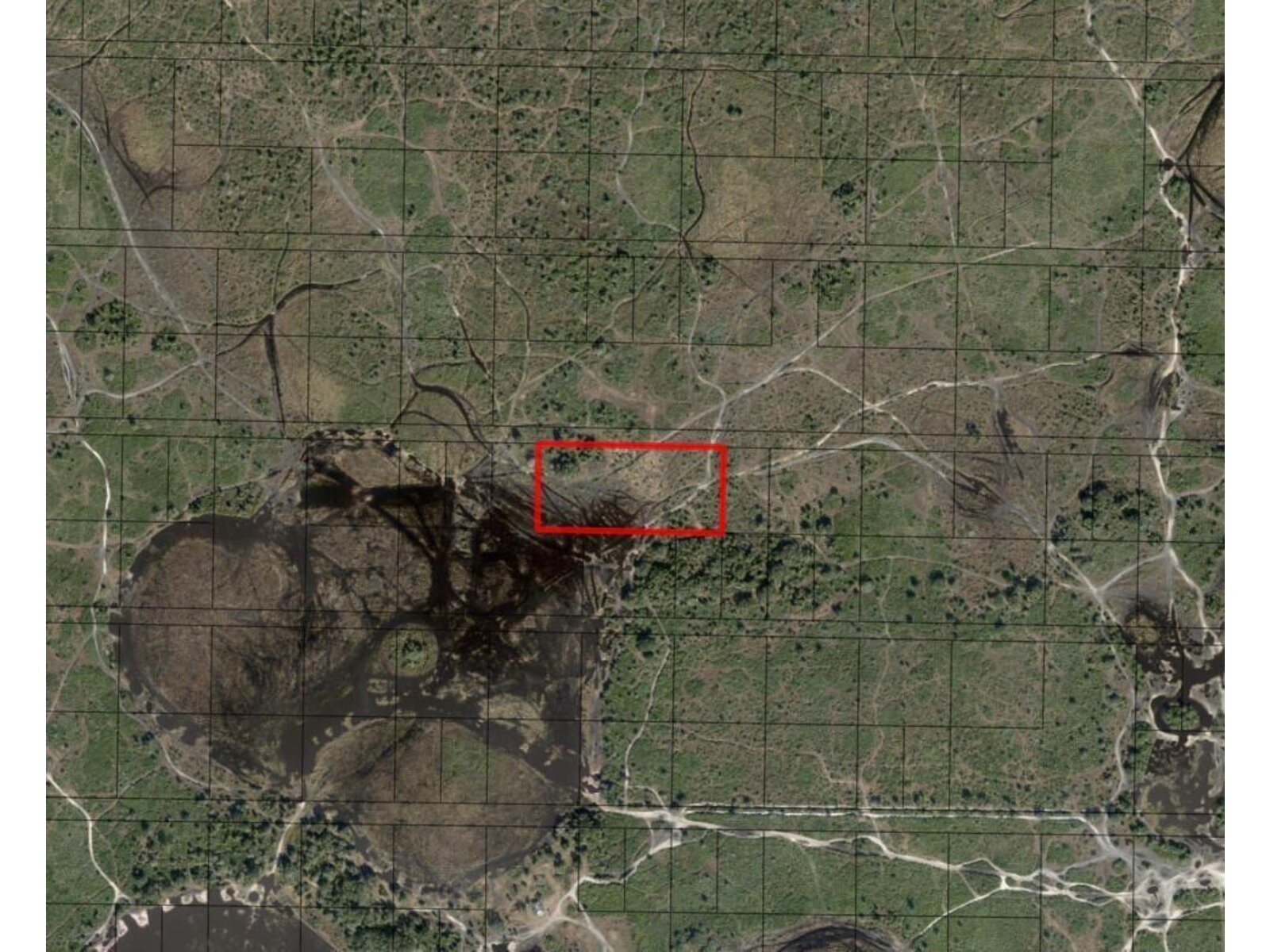 Image - 1