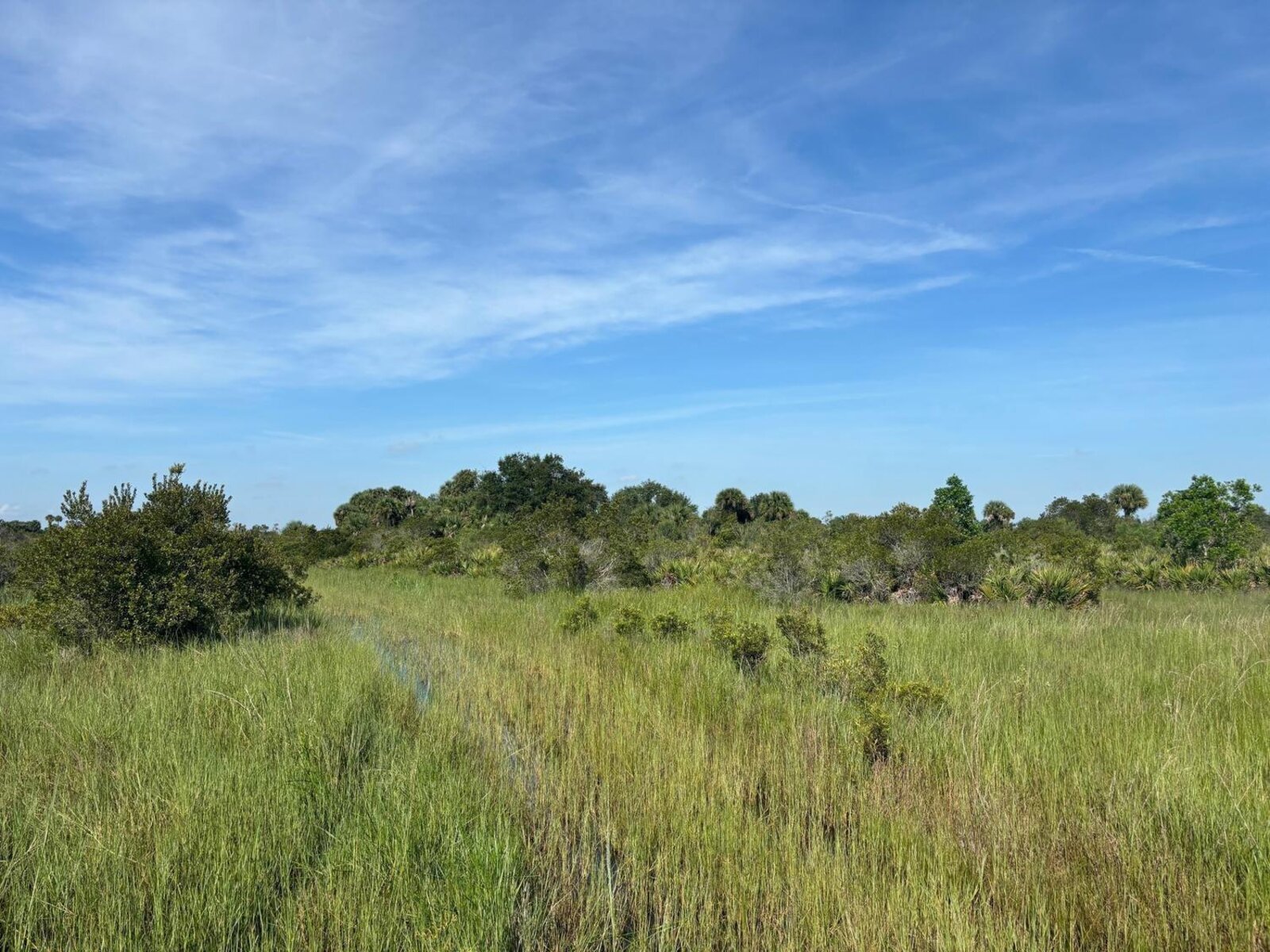 Image - 1