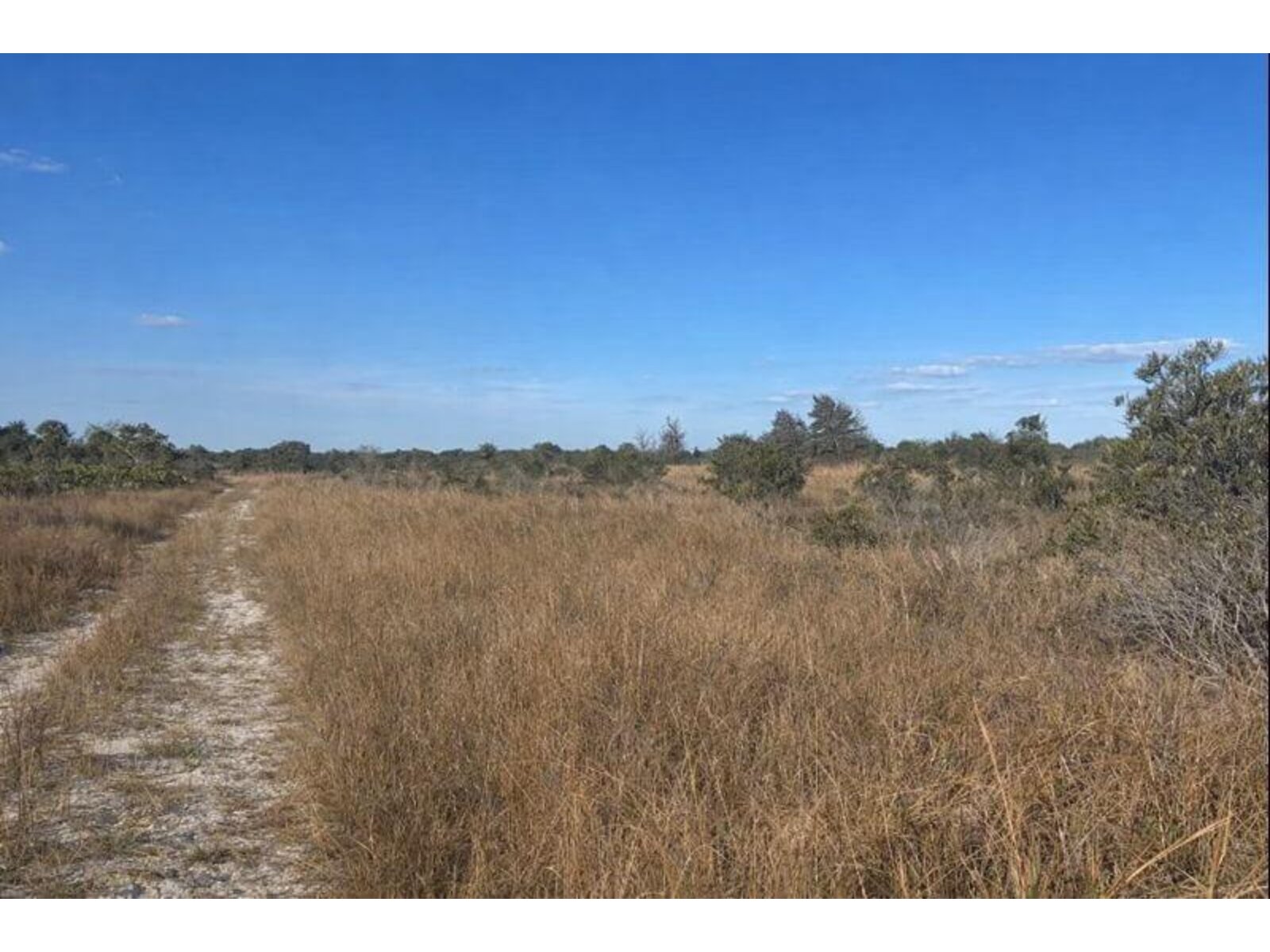 Image - 1