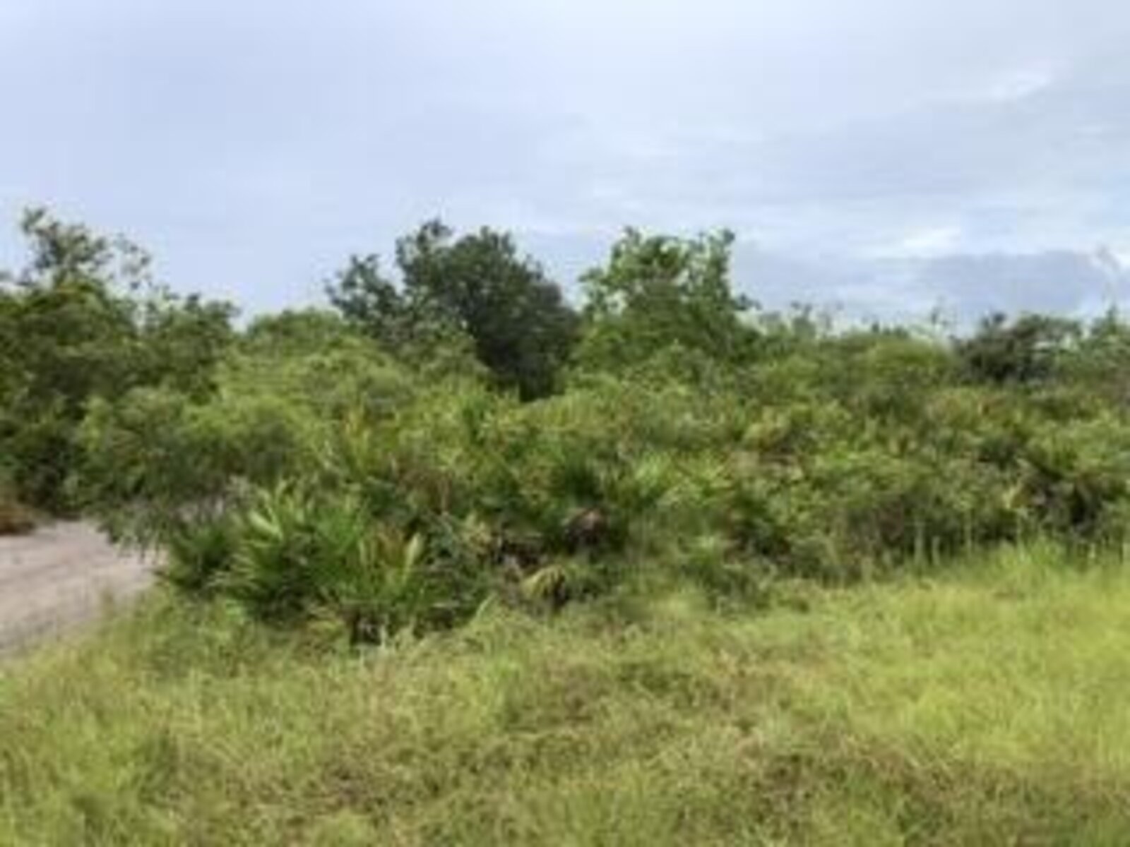 Image - 1