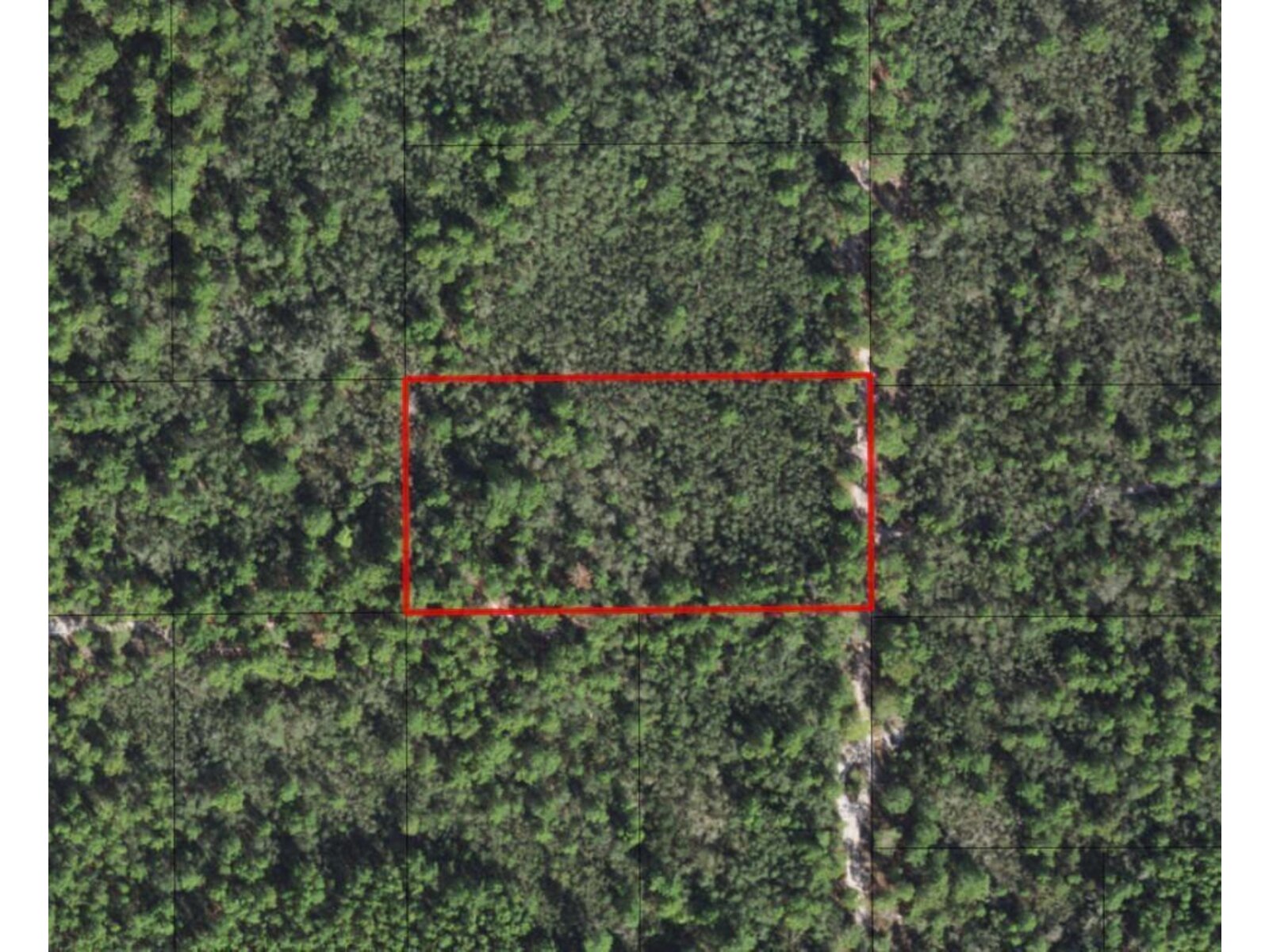 Image - 1