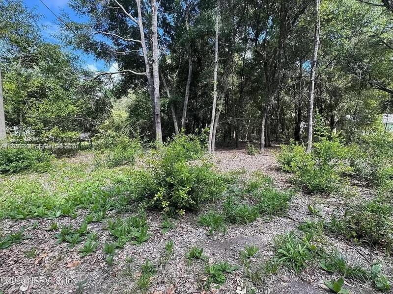 Image - 1