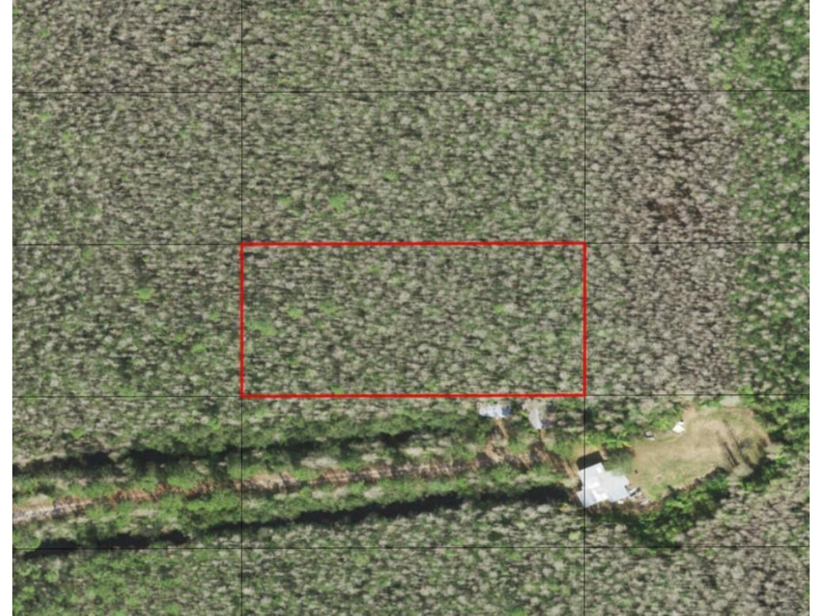 Image - 1