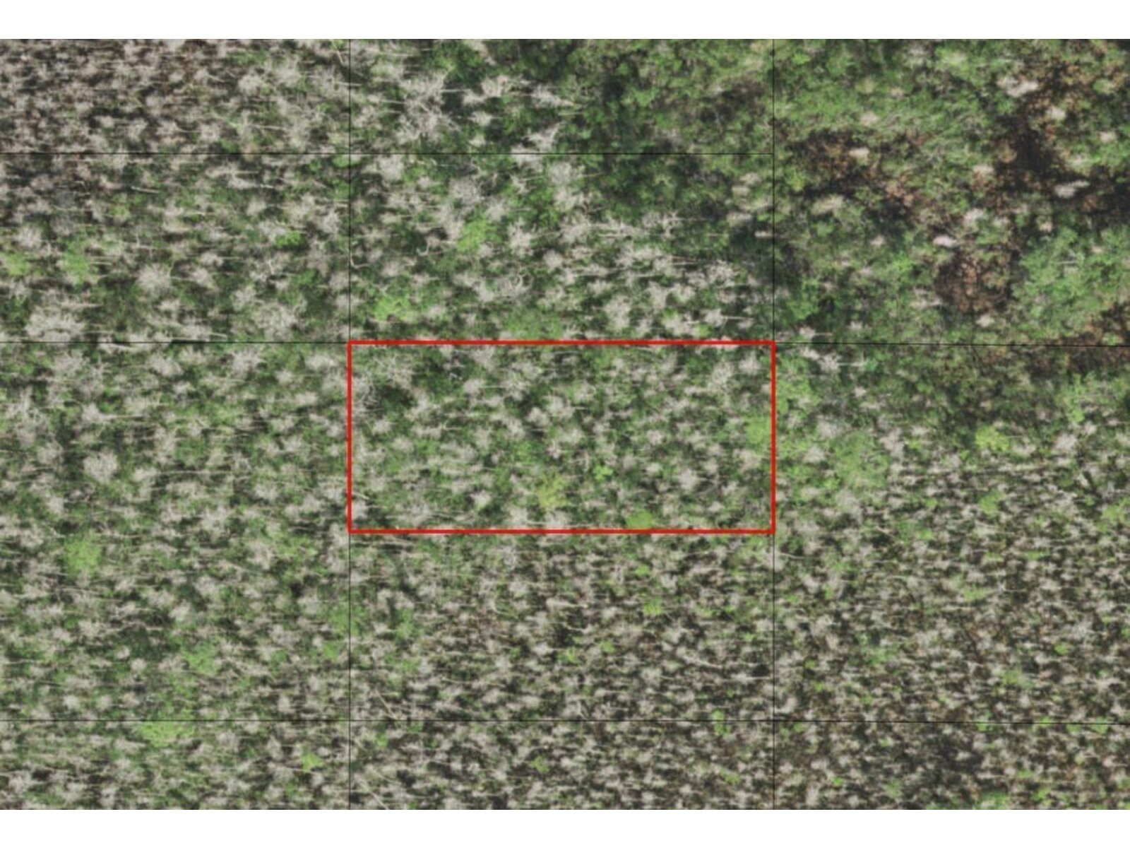 Image - 1