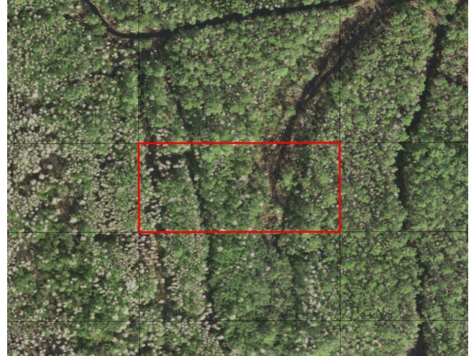 Image - 1