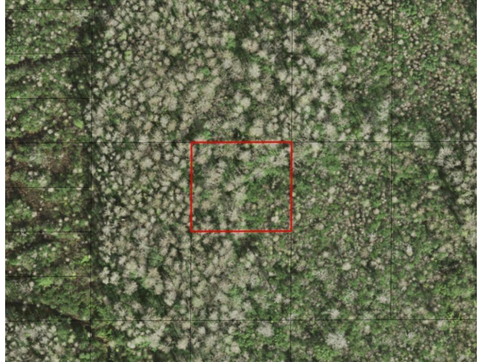 Image - 1