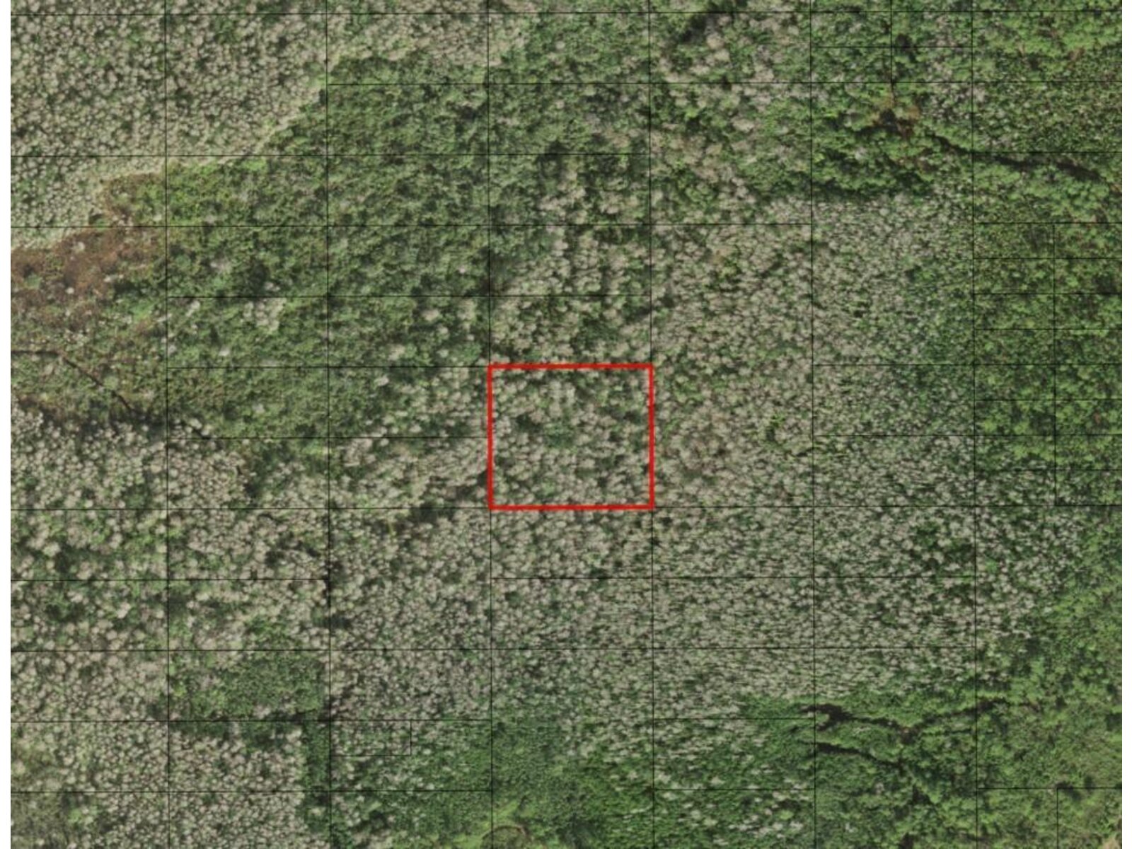 Image - 1
