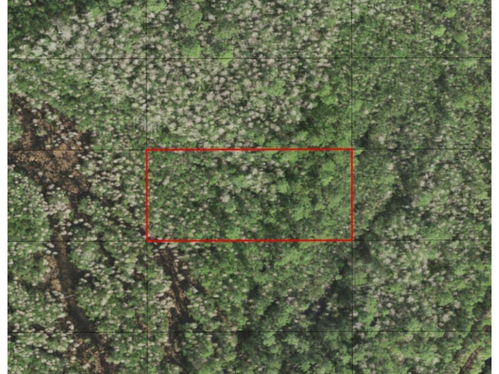 Image - 1