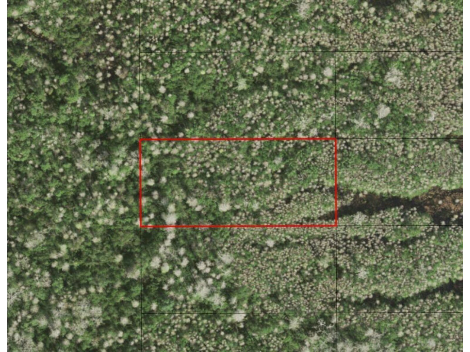 Image - 1